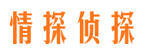 天桥市侦探公司